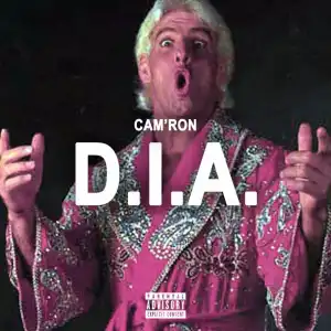 Cam’ron - D.I.A